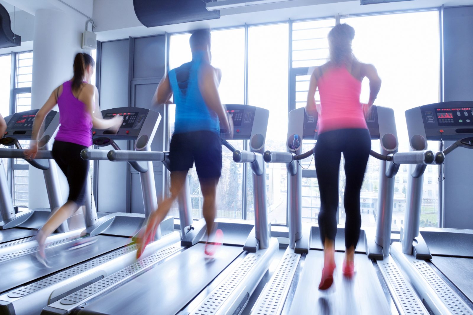 Kako u zagrebačkoj klinici podvodna traka za trčanje rehabilitira pse